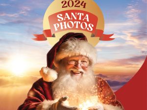 Professional Santa Photos