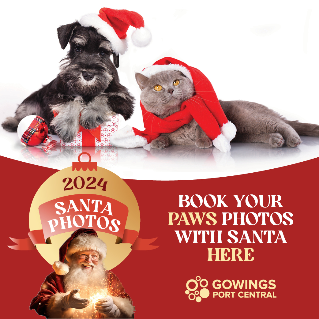 Santa Paws Image